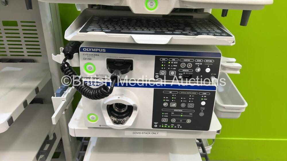 2 x Olympus Stack Trolleys with 2 x Olympus OEV262H Monitors, Olympus ...