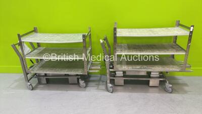 2 x BMM Weston Electric Sterilizing Trolleys with Controllers