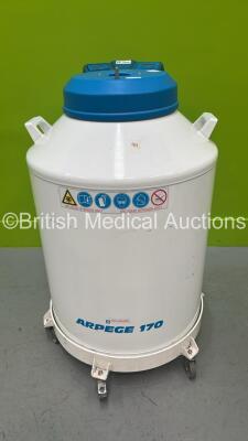 Air Liquide Arpege 170 Cryogenic Storage Vessel - 4