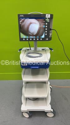 Karl Storz 200450 20 tele pack X Endoscopy System Model 200450 20 Software Version 4.11 with Storz telecam pal 20212030 PAL Camera Head on Stand (Powers Up) **CI037**