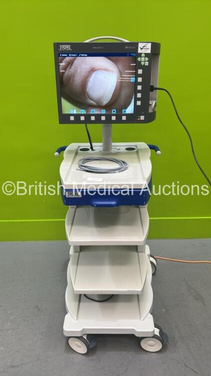 Karl Storz 200450 20 tele pack X Endoscopy System Model 200450 20 Software Version 4.11 with Storz telecam pal 20212030 PAL Camera Head on Stand (Powers Up) **CI037**