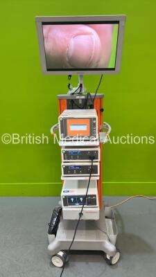 Smith and Nephew Stack System with Sony LCD Monitor Smith and Nephew 660HD Image Management System, Smith and Nephew 560P HIgh Definition Camera System, Smith and Nephew 560H Camera Head, Smith and Nephew 500XL Xenon Light Source and Smith, Sony Power Sup