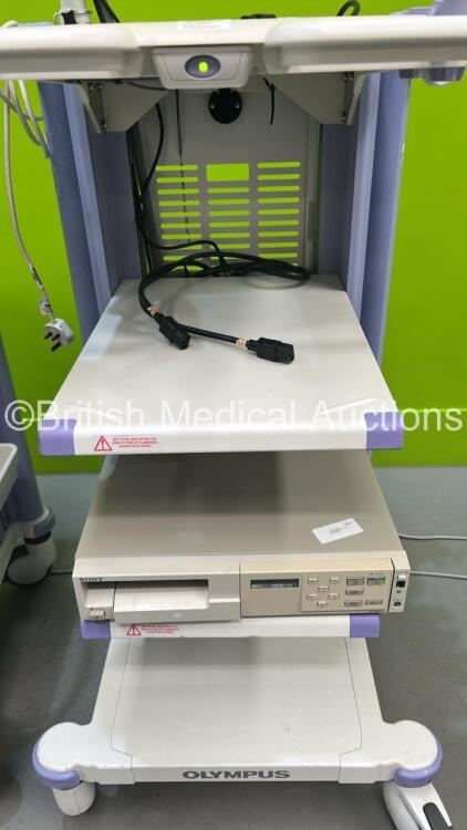 2 x Olympus Stack Trolleys with Olympus OEV191H Monitor, Olympus ECS ...