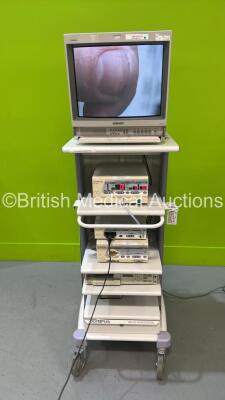 Olympus WM-SC Workstation with Sony PVM-20L2MD Trinitron Monitor, Olympus Visera OTV-S7 Digital Processor, Olympus OTV-S7H-N Camera Head with Coupler, Olympus Visera CLV-S40 Light Source, Olympus UHI-3 Insufflator and Sony UP-1850EPM Printer (All Power Up