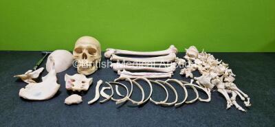 Anatomical Human Skeleton Medical Model *Incomplete & Damaged - See Photo*