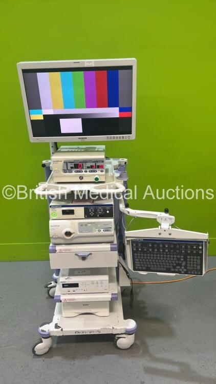 Olympus Stack Trolley with Olympus OEV261H Monitor, Olympus Visera Elite OTV-S190 Camera Unit, Olympus Visera Pro CLV-S40Pro Light Source Unit, Olympus OES UHI-3, Sony HVO-1000MD HD Video Recorder and Sony UP-DR80MD Printer (All Power Up) *OEV261H / E2014