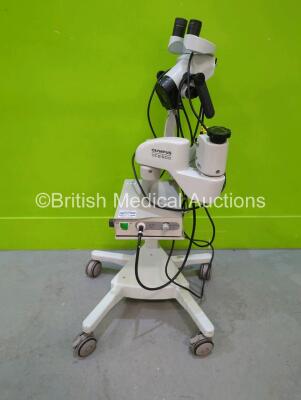 Olympus OCS-500 Colposcope (Powers Up) on Stand with Binoculars, 2 x WHS10x/22 Eyepieces