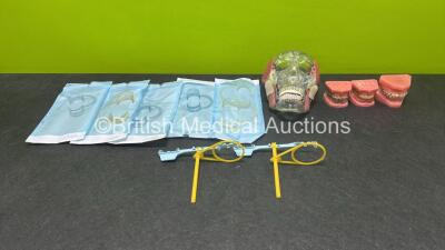 Job Lot Including Denture Anatomy Models and Retractors