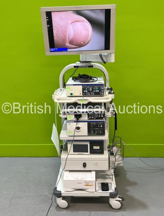 Olympus WM-NP2 Stack System Including 1 x Sony LCD Monitor, 1 x Olympus ...