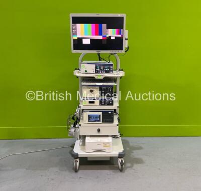 Olympus Stack System with Olympus OEV261H Monitor, Olympus UHI-4 ...