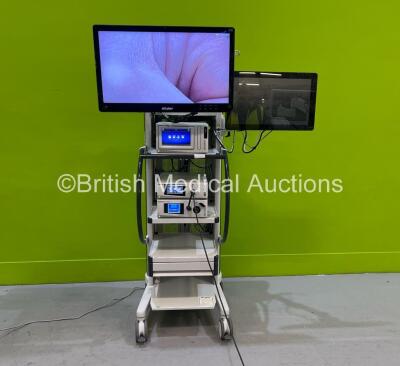 February 2026 Endoscopy Stack Systems | British Medical Auctions