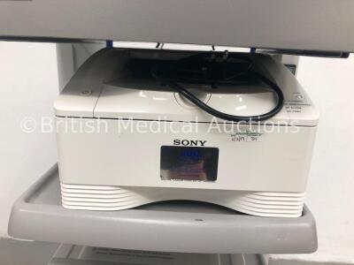 Karl Storz Stack Trolley Including Storz Telecam SL II 202130 20 Camera Control Unit, Sony Digital Color Printer UP-DR80MD, Sony DVD Recorder DVO-1000 - 4