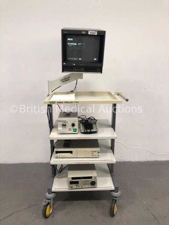 Olympus Keymed Video Trolley TV-2 with Sony HR Trinitron Monitor, Olympus CLK-4 Light Source Unit,Olympus MH-317 Footswitch,Sony Color Video Printer U