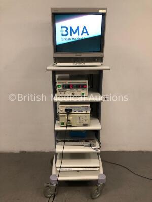 Olympus WM-SC Workstation Including Sony Trinitron Monitor, Olympus OES UHI-2 Insufflator Unit,Olympus OTV-S7H-N Camera Head,Olympus Visera OTV-S7 Cam