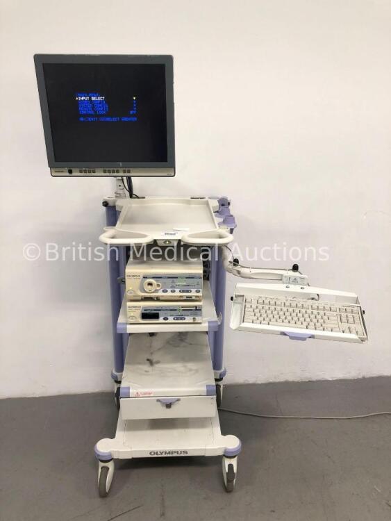 Olympus Stack Trolley with Olympus OEV191 Monitor, Olympus Visera CLV-S40 Light Source and Olympus Visera OTV-S7 Digital Processor (Powers Up) *S/N 78