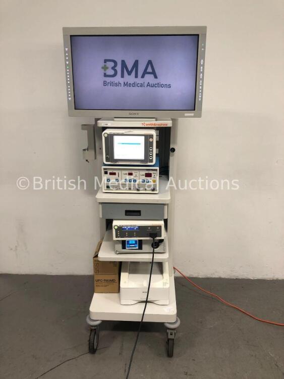 Smith & Nephew Stack System Including Sony LCD Monitor, Smith & Nephew 660HD Image Management System,Smith & Nephew 400 Insufflator, Smith & Nephew 56