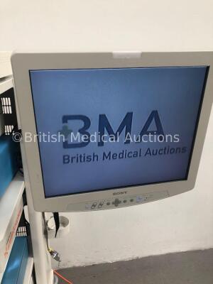 Smith & Nephew Stack System Including Sony LCD Monitor,Smith & Nephew 460P 3-CCD Camera Control Unit, 2 x Smith & Nephew 460H Camera Heads, Smith & Ne - 2