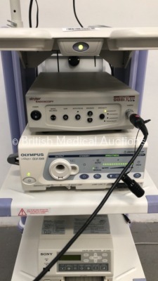 Olympus Stack Trolley Including Olympus OEV191 Monitor,Stryker Endoscopy Digital Camera 988i3 Chip Camera Control Unit,Stryker 988i Camera Head,Olympu - 3