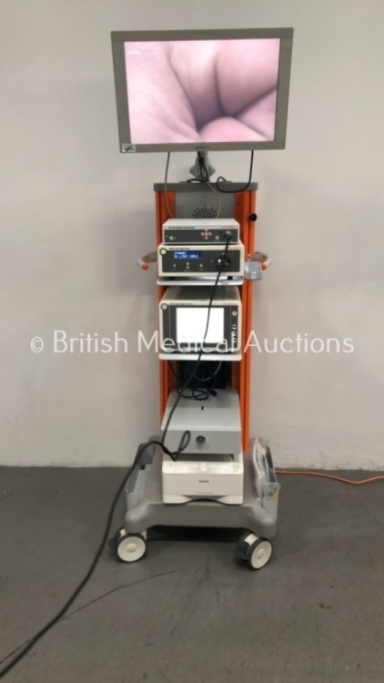 Smith & Nephew Stack Trolley Including Sony LCD Monitor,Smith & Nephew HD Autoclavable Camera Control Unit,Smith & Nephew HD1200 Camera Head,Smith & N