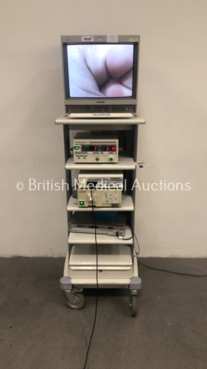 Olympus Stack Trolley with Sony Trinitron Monitor, Olympus OES UHI-2 Insufflator, Olympus Visera OTV-S7 Digital Processor, Olympus OTV-S7 Camera Head