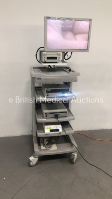 Karl Storz Stack Trolley Including Storz WideView HD Monitor, Storz SCB Image 1 Hub 222010 20 Duo Camera Control Unit,Storz Image 1 HD H3-Z Camera Hea