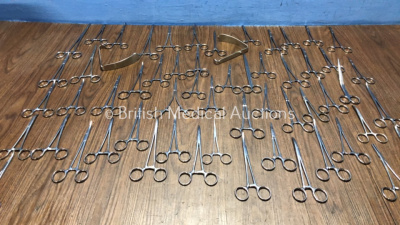 Job Lot of Surgical Instruments