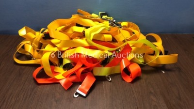 Job Lot of BioThame and Biosafe Straps