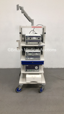 Karl Storz Stack Trolley Including Karl Storz Dx-cam ntsc 202301 20,Karl Storz Tricam SL ntsc 202221 20,Karl Storz SCB Equimat 203020 20,Karl Storz Flash 201330 30,Karl Storz Xenon 300 201331 20 and Sony Digital Color Printer UP-DR80MD (Powers Up)