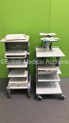 1 x Fujinon Stack Trolley with Sony Color Video Printer and 1 x Olympus WM-SC Workstation Stack Trolley