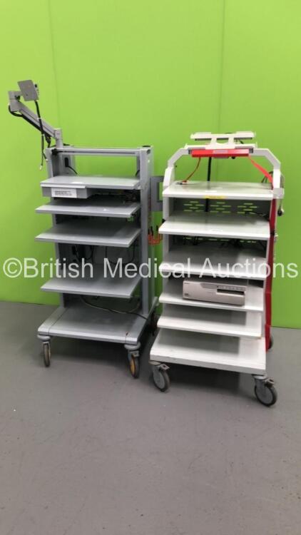 2 x Stryker Stack Trolleys with Sony Color Video Printer