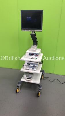 Olympus Stack Trolley with Olympus OEV191H Monitor, Olympus OES UHI-3 Insufflator, Olympus Visera OTV-S7 Camera Control Unit and Sony UP-21MD Colour Video Printer (Powers Up) *S/N 7717318 / 1504277 / 7200202/* - 5
