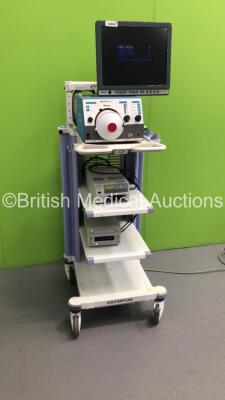 Olympus Stack Trolley with Olympus OEV191H Monitor, Valleylab Optimumm Smoke Evacuation Unit, Sony UP-21MD Colour Video Printer and Sony DVO-1000MD DVD Recorder (Powers Up) *S/N FS0075143 / FS0075044 / FS0075188 / FS0075046* - 6