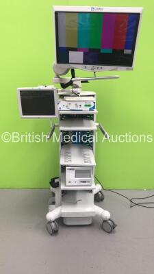 ConMed Linvatec Stack System Including 1 x ConMed Linvatec HD 1080P Monitor, 1 x ELO Entuitive Monitor, 1 x ConMed Linvatec HD 1080P Camera Control Unit and 1 x MedXchange High Definition Recording Station (HDD Removed) on ConMed Linvatec Stack Trolley (A