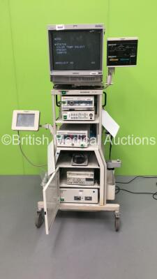 Olympus TI-A1 Stack Trolley Including Sony Trinitron Monitor,Olympus MH-981 Control Panel,Olympus OES CLV-S30 Light Source Unit,Olympus OES OTV-SX2 Camera Control Unit/Processor,Olympus UHI-2 Insufflator,Olympus MH-317 Footswitch,Sony VideoCassette Record