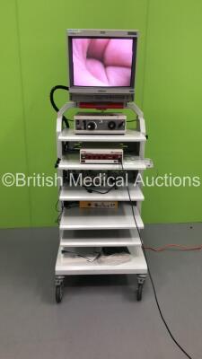 Stryker Stack Trolley Including Sony Trinitron Monitor,Stryker Q-5000 Light Source Unit,Stryker 888i Camera Control Unit and Stryker 888i Camera Head (Powers Up) * SN 001 031214 / 124331 / 00G008614 *