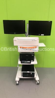 Love Medical Cardiopulmonary Diagnostics Trolley with 2 x HKC Monitors,ERGO Stik Geratherm Respiratory Unit,Calibration Syringe,CPU and Samsung Printer (Hard Drive Removed) *IR148* * Asset No FS0179068 / FS 0062477 / FS 0016245 *