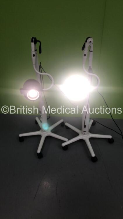 2 x Daray Lighting Patient Examination Lights on Stands (Both Power Up) * Equip No N/A *