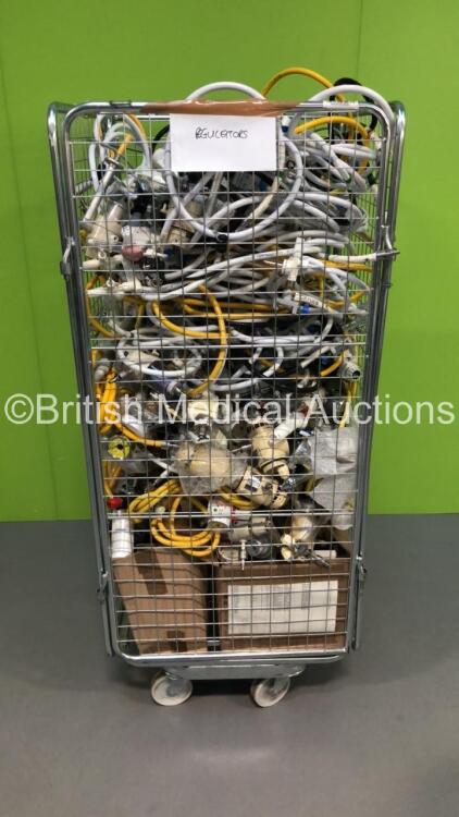 Cage of Regulators and Hoses (Cage Not Included)