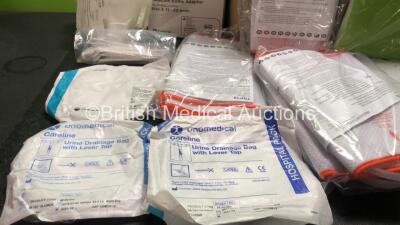 Mixed Lot Including High Back Slings, Active Compression Systems, Urine Drainage Bags, Dental Mirrors and Plastic Jars - 2