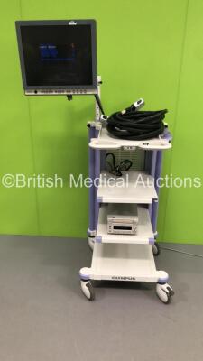 Olympus Stack Trolley Including Olympus OEV191H Monitor,Sony DVD Recorder DVO-1000MD and Olympus Stack Connector Cables (Powers Up) * SN 7720574 *