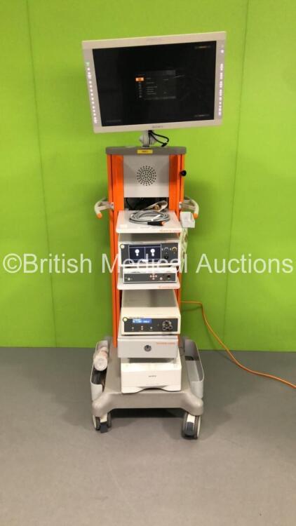 Smith & Nephew Stack Trolley with Sony Monitor, Smith & Nephew Dyon