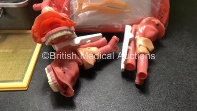 Mixed Lot Including 1 x X Ray Test Phantom, 3 x Mouth / Throat Test Rigs and 4 x Disposable Safety Suits - 3