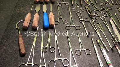 Job Lot of Various Surgical Instruments - 2