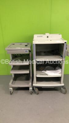 1 x Olympus WM-30 Mobile Workstation and 1 x Karl Storz Stack Trolley