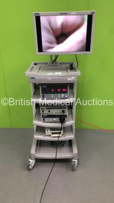 Storz Stack Trolley with Storz Wide View HD Monitor,Storz 264305 20 SCB Electronic Endoflator,Storz 202320 20 telecam pal Camera Control Unit,Storz 201340 20 Xenon Nova 300 Light Source,Storz 13801NKS Video Gastroscope in Case and Sony UP-21MD Colour Vide