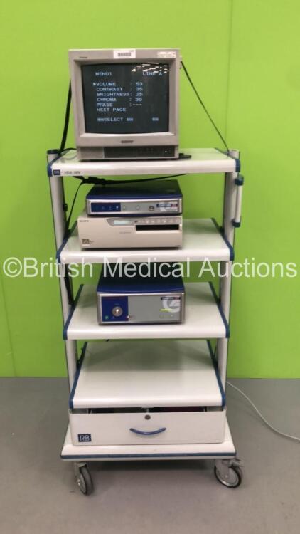 RB Endoscopy Stack Trolley with Sony Trinitron Monitor,Gimmi Alpha DigiCam 3CCD Versatile Camera Control Unit,Gimmi AlphaXenonLight 180W Light Source Unit and Sony Color Video Printer UP-2850P (Powers Up) * SN 6005651 / 3CCD3060 / K23050A-1018 *