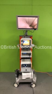 Smith and Nephew Stack Trolley with Sony Monitor, Smith and Nephew 560P High Definition Camera System, Smith and Nephew 560H Camera Ref 72200561, Smith and Nephew 660HD Image Management System, Smith and Nephew 500XL Xenon Light Source, Smith and Nephew D