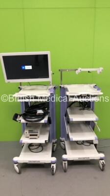 2 x Olympus Stack Trolleys with AdvanTech Monitor, Sony UP-21MD Colour Video Printer, Olympus ECS-260 Connector Cable and Olympus Keyboard (Powers Up)