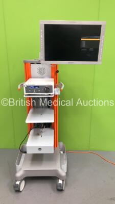 Smith and Nephew Stack Trolley with Sony Monitor and Smith and Nephew 500XL Xenon Light Source (Powers Up) *S/N 3201625*