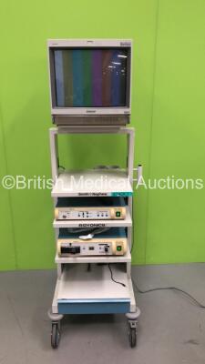 Smith and Nephew Stack Trolley with Sony Trinitron Monitor, Smith and Nephew Dyonics ED-3 Enhanced Digital 3-Chip Camera and Smith and Nephew Dyonics 300XL Xenon Light Source (Powers Up)
